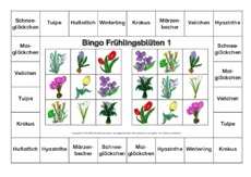 Bingo-Frühlingsblüten-1-B.pdf